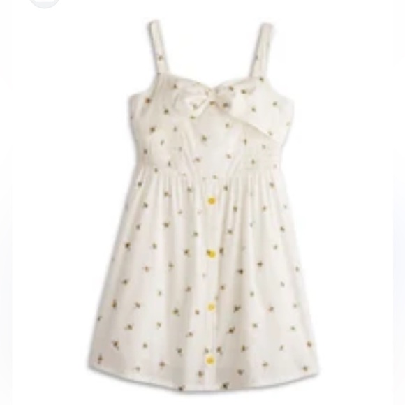 American Girl Garden Bee Dress Blair Wilson - Picture 1 of 10